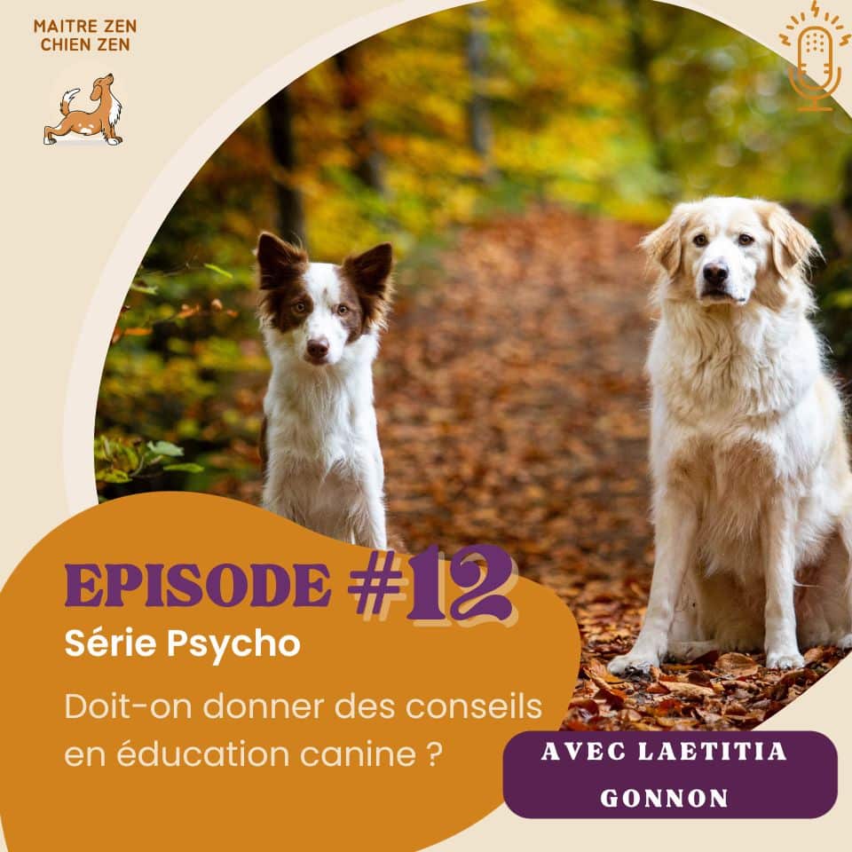 Doit-on donner des conseils en éducation canine ? Podcast Eduzen